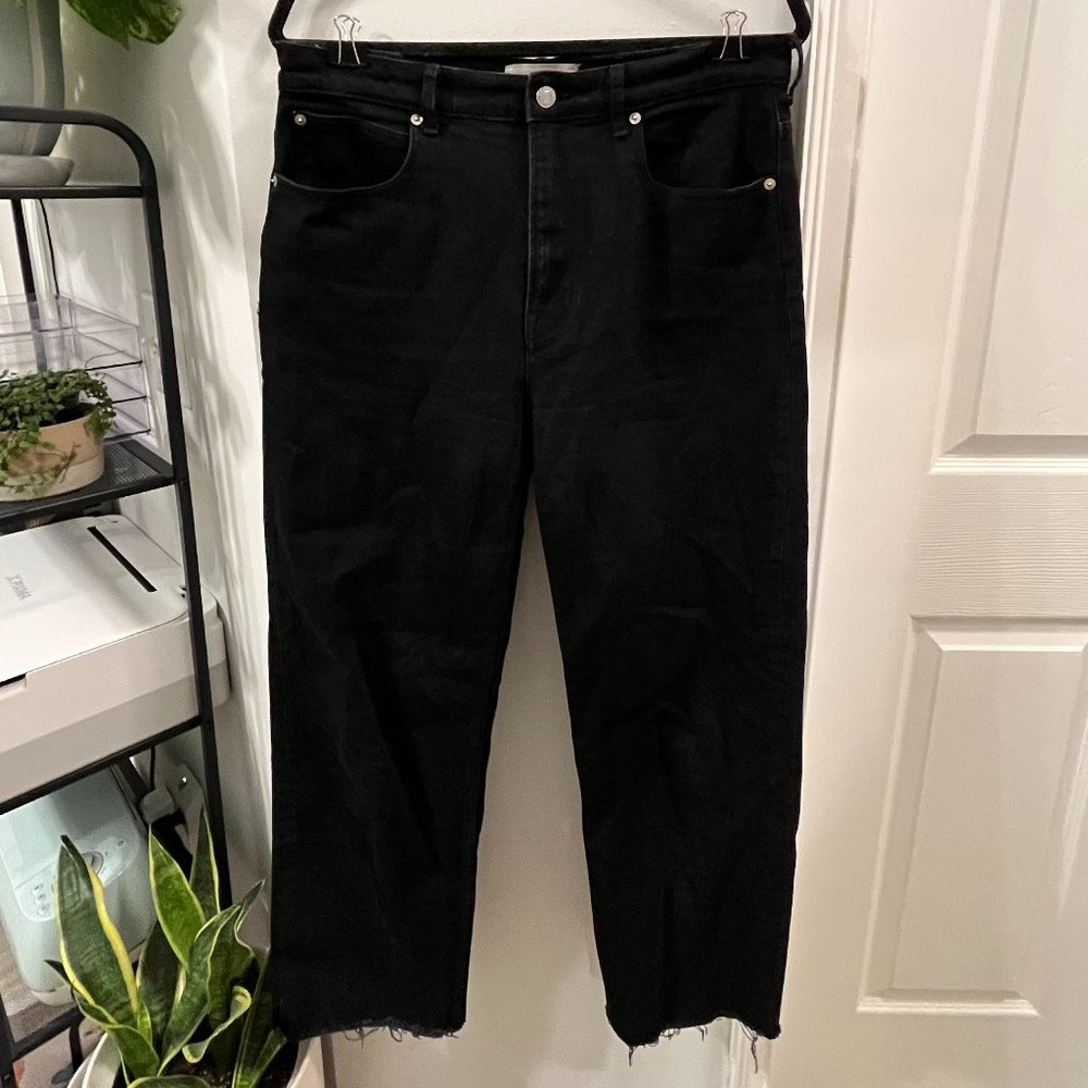 Everlane The Way-High Jean